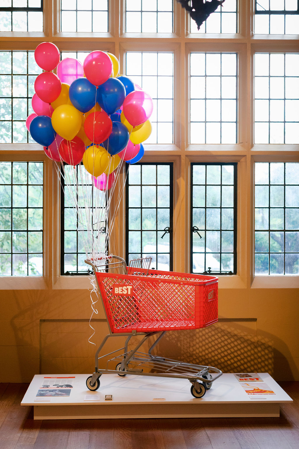A BEST shopping cart