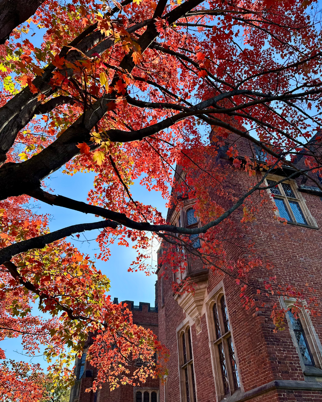 Fall at The Branch