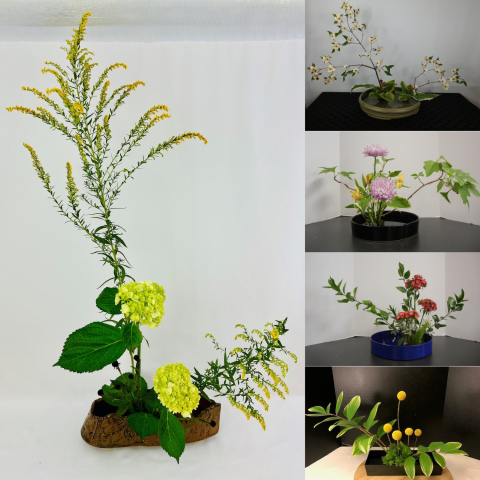 Ikebana Arrangements