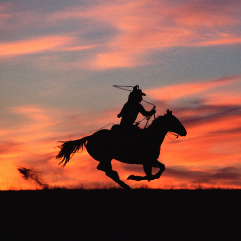 Norm Clasen Sunset Chase